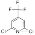 Pirydyna, 2,6-dichloro-4- (trifluorometyl) CAS 39890-98-7